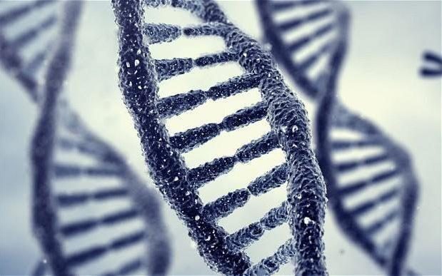 آلزایمر و ژنتیک : آیا بیماری آلزایمر ژنتیکی است؟