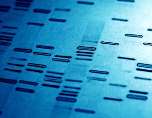 انگشت نگاری ژنتیکی ( اثر انگشت DNA )