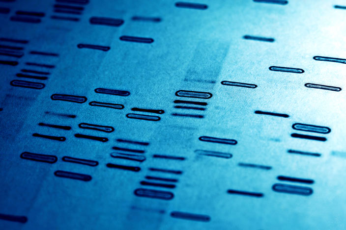 انگشت نگاری ژنتیکی ( اثر انگشت DNA )