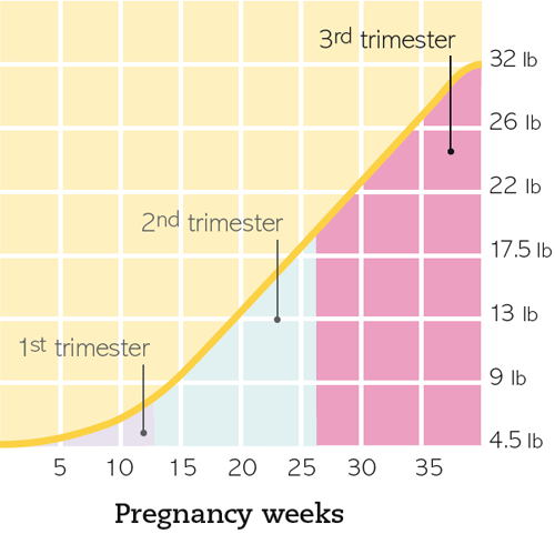 روز 186 بارداری