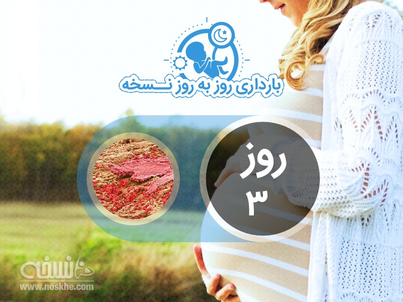 روز سوم بارداری