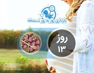 روز سیزدهم بارداری