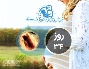 روز سی و چهارم بارداری