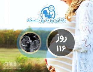 روز صد و شانزدهم بارداری