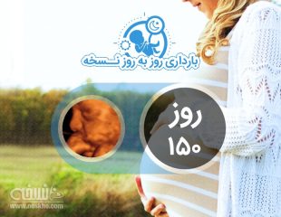 روز 150 بارداری