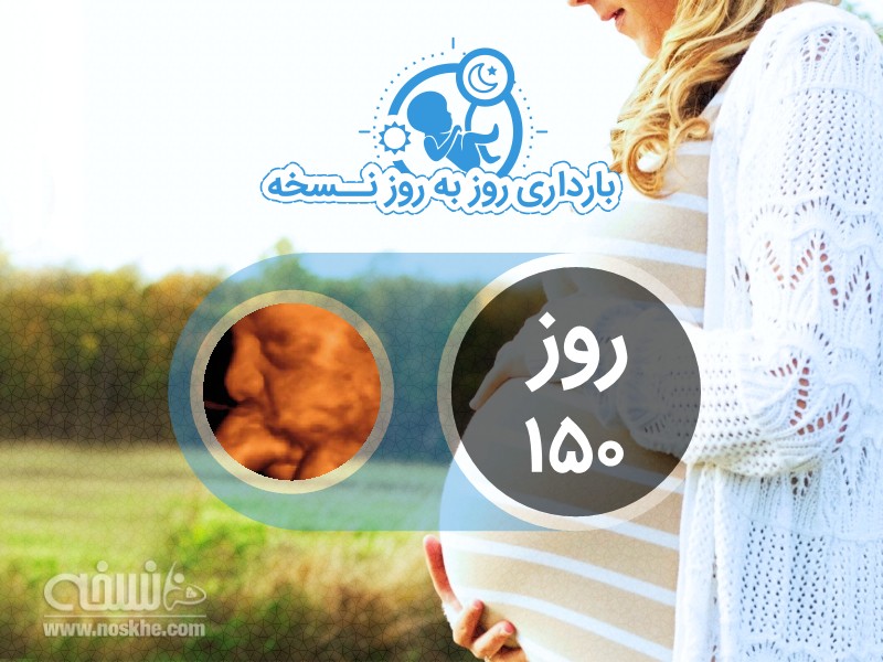 روز 150 بارداری
