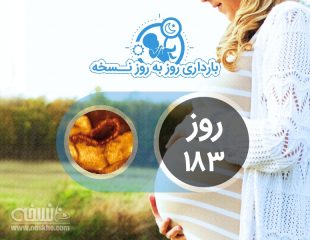 روز صد و هشتاد و سوم بارداری