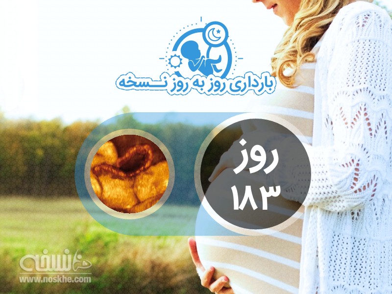 روز صد و هشتاد و سوم بارداری