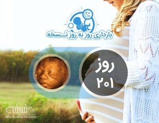 روز دویست و یکم بارداری