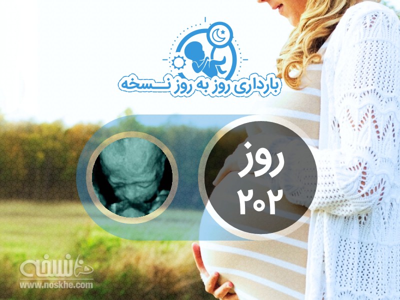 روز دویست و دوم بارداری