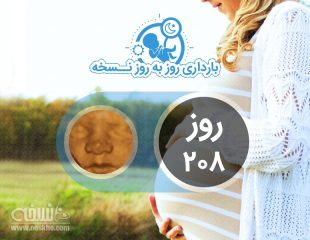 روز دویست و هشتم بارداری