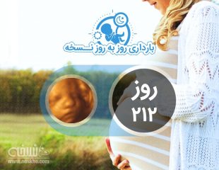 روز دویست و دوازدهم بارداری