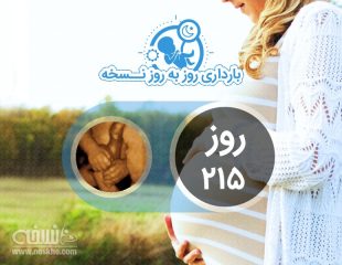 روز دویست و پانزدهم بارداری