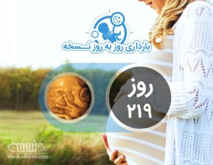 روز دویست و نوزدهم بارداری