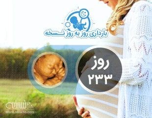 روز دویست و سی و سوم بارداری