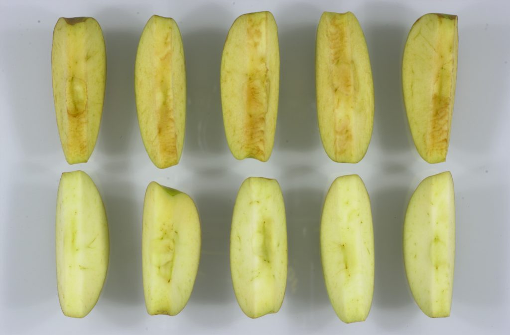 چه موادمغذی در زمان اکسید شدن سیب از بین می رود؟
