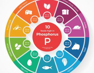 اهمیت فسفر در بدن انسان