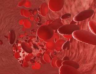 سلول های قرمز خون