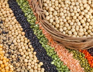 بهترین منابع پروتئین گیاهی