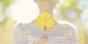 11 مکمل برای یائسگی 11 مکمل برای یائسگی