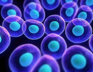 درمان سرطان با سلول های بنیادی