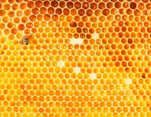 مزایای عسل طبیعی