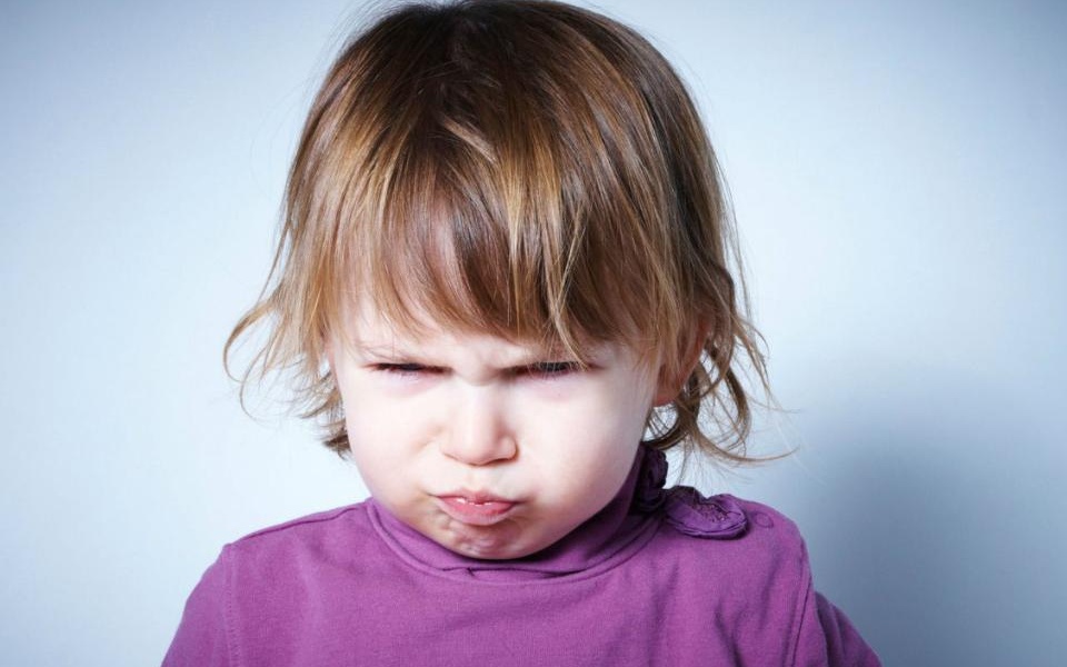 کودک 20 ماهه ی شما: دست و پنجه نرم کردن با پرخاشگری