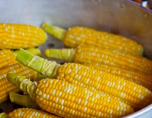 مطالب تغذیه ای در مورد ذرت شیرین