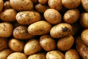 مطالب تغذیه ای در مورد سیب زمینی مطالب تغذیه ای در مورد سیب زمینی