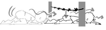وول خوردن، خزیدن و چهار دست و پا رفتن