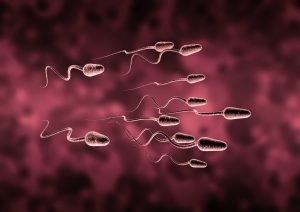 تلقیح داخل رحمی یا IUI تلقیح داخل رحمی یا IUI