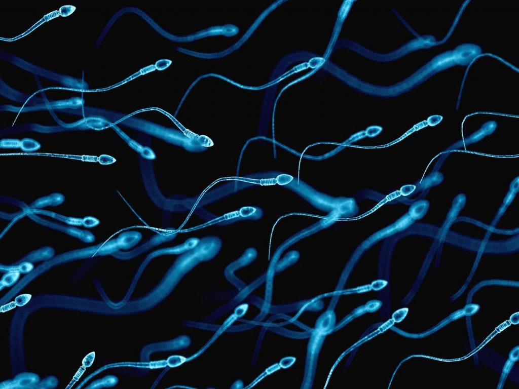 سوالات متداول و مکرر در مورد اسپرم