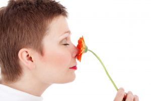نکات طلایی برای درمان عفونت سینوسی نکات طلایی برای درمان عفونت سینوسی