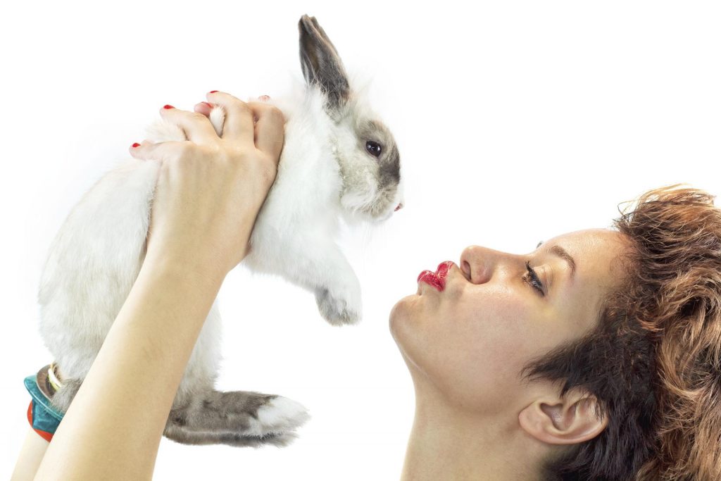 درباره تولارمی یا تب خرگوش چه می‌دانید؟