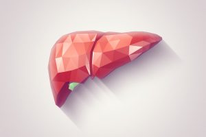 آیا نارسایی کبدی موجب مرگ انسان میشود؟ آیا نارسایی کبدی موجب مرگ انسان میشود؟