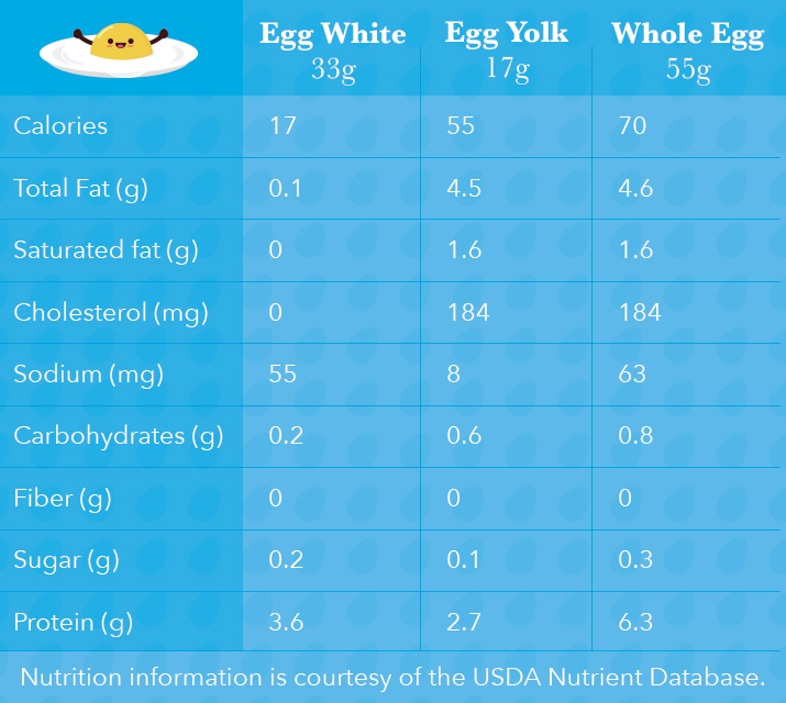 با خیال راحت زرده تخم مرغ بخورید