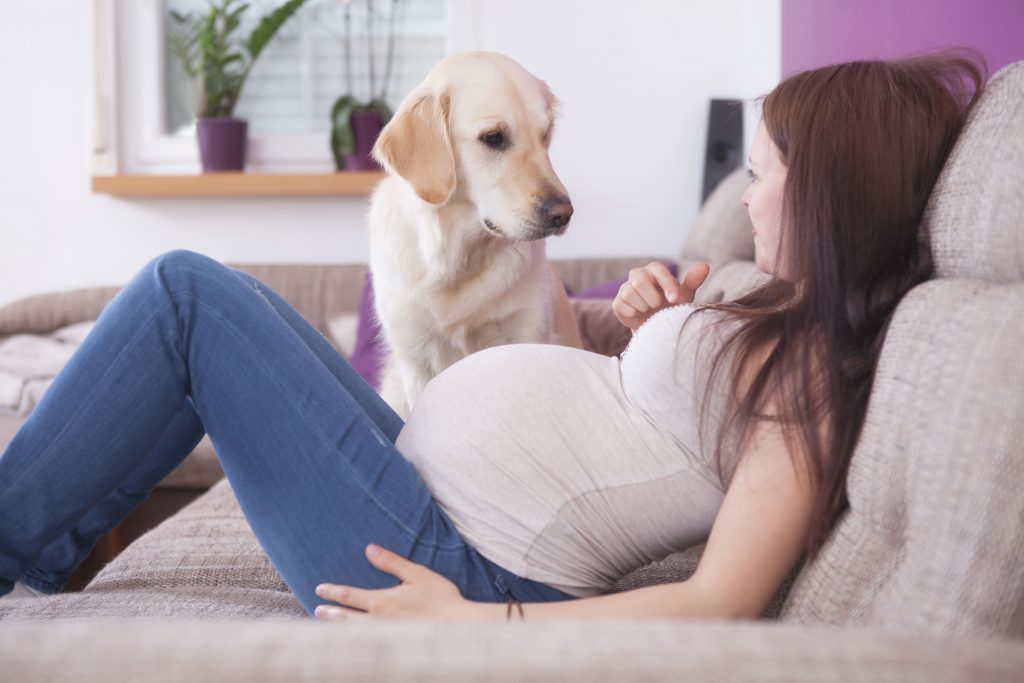 آیا حیوانات خانگی باعث بیماری زنان باردار می‌شوند؟