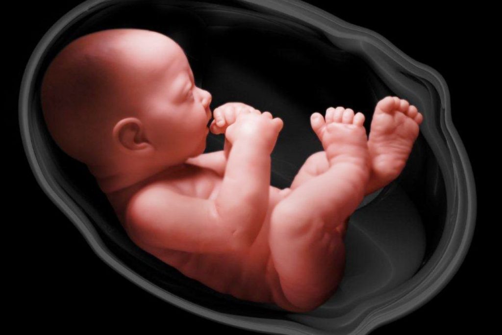 درباره مایع آمنیوتیک و نقش آن در بارداری چه می‌دانید؟