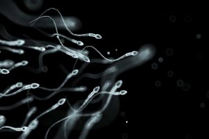 10 تصور کاملا اشتباه درباره اسپرم ها 10 تصور کاملا اشتباه درباره اسپرم ها