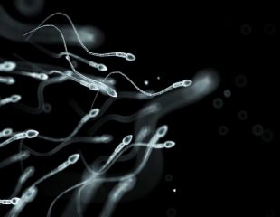 10 تصور کاملا اشتباه درباره اسپرم ها