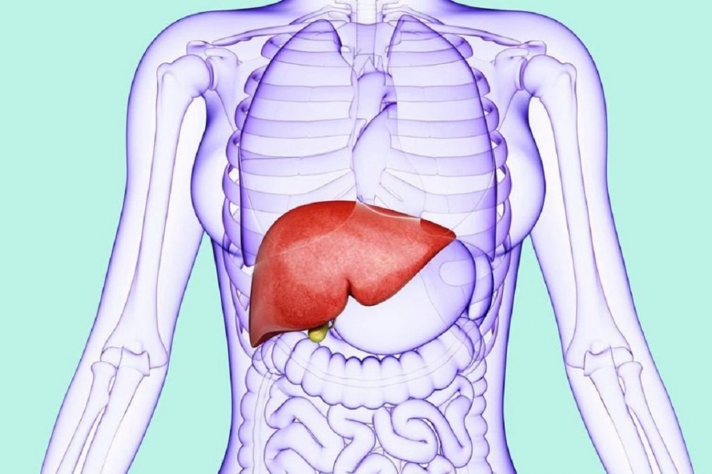 همه چیز درباره سیروز کبدی و درمان آن
