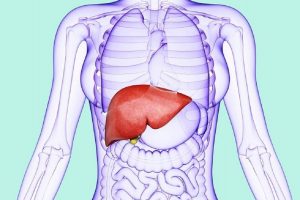 همه چیز درباره سیروز کبدی و درمان آن همه چیز درباره سیروز کبدی و درمان آن