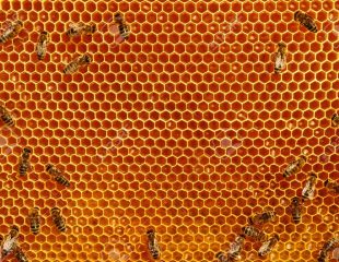 10 مزیت شگفت انگیز و باور نکردنی عسل طبیعی